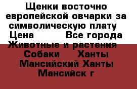 Щенки восточно европейской овчарки за символическую плату › Цена ­ 250 - Все города Животные и растения » Собаки   . Ханты-Мансийский,Ханты-Мансийск г.